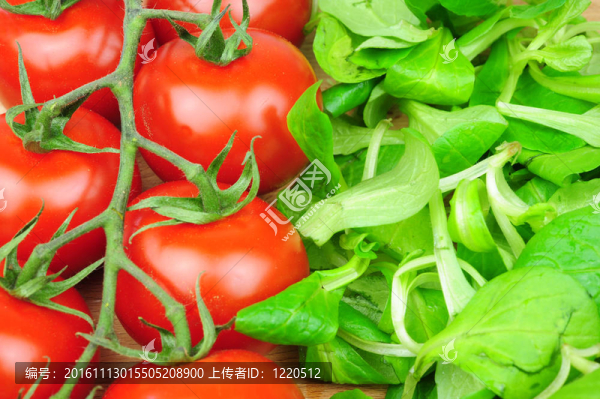 西紅柿和生菜