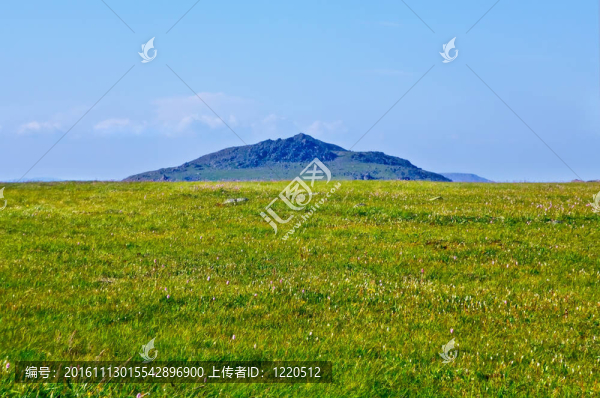 山頂上的草地上的背景