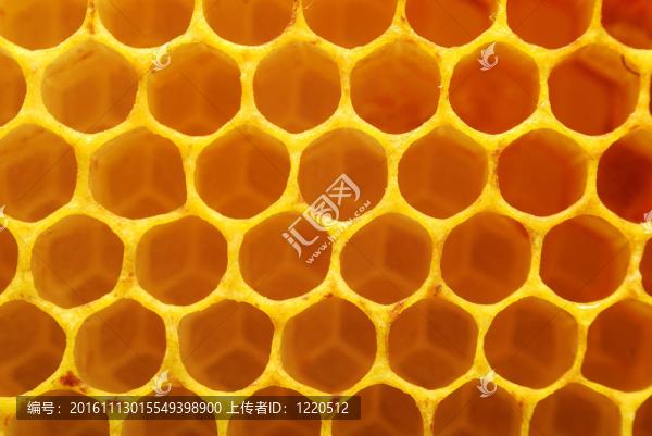蜂窩