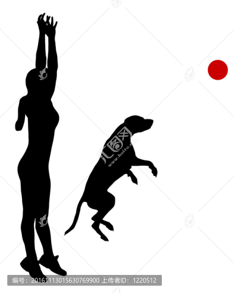 犬訓(xùn)練用球