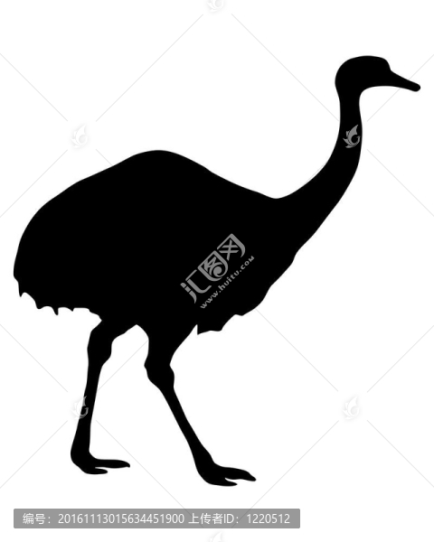 大美洲鴕的剪影