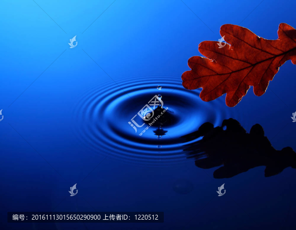 落入水中的水