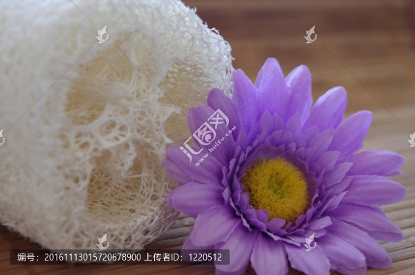 絲瓜花