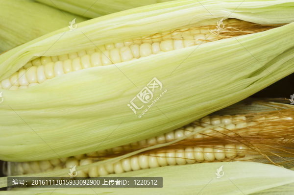 玉米棒