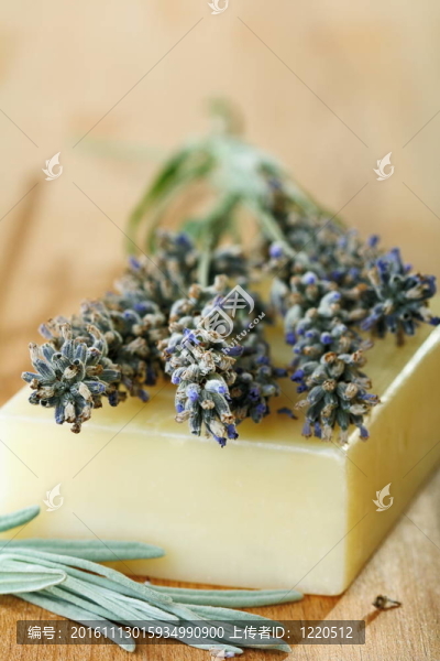 在一塊肥皂上的薰衣草。
