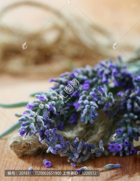 薰衣草花束。