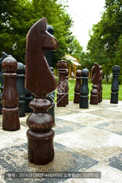 公共公園的大型木制棋盤