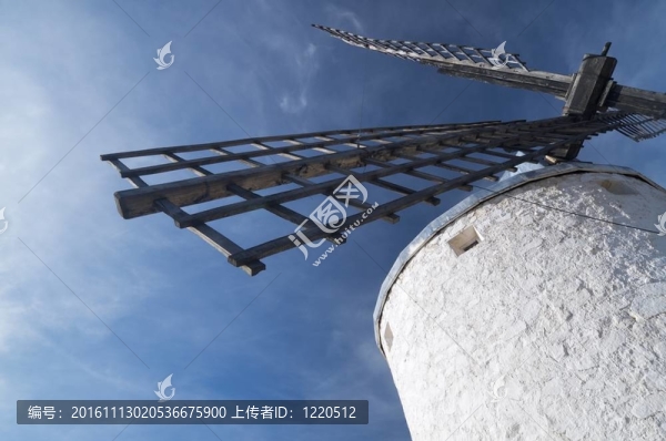 葉片