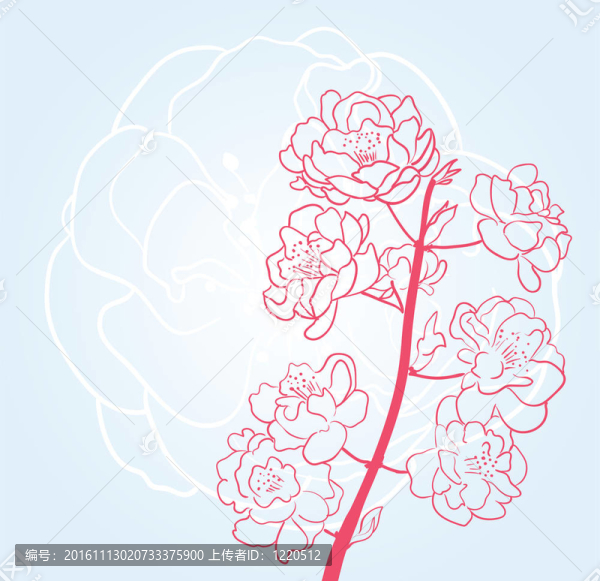 藍(lán)色背景與櫻花花