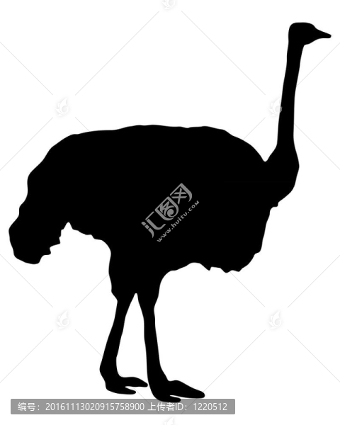鴕鳥(niǎo)的剪影