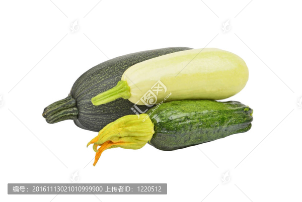 綠色蔬菜骨髓（西葫蘆）；孤立在白色背景
