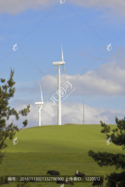 風(fēng)力發(fā)電機發(fā)電