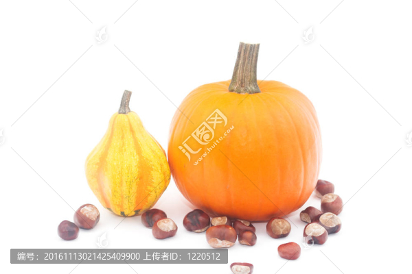 光明；秋；美；美；背景；板栗；農(nóng)業(yè)
