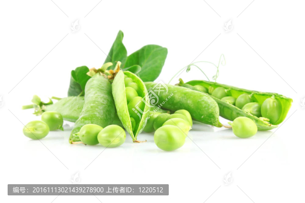 新鮮豌豆莢