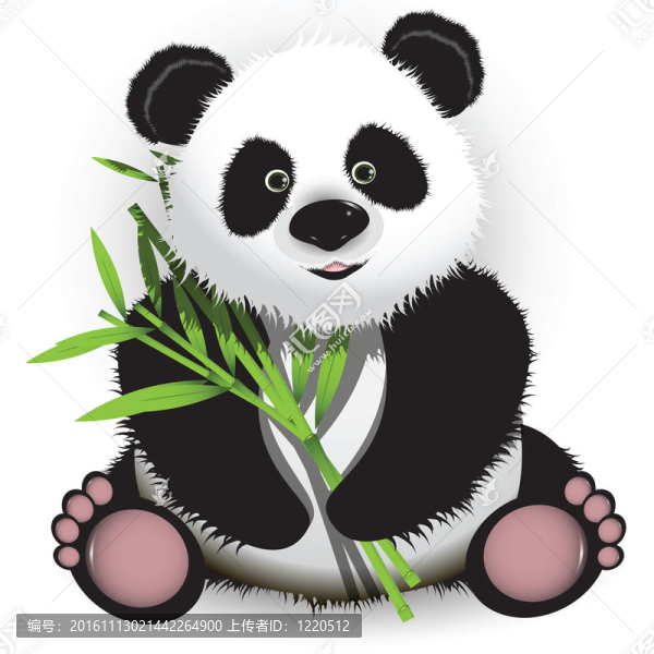 熊貓