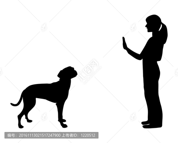 狗訓(xùn)練(服從):命令停止-匯圖網(wǎng) www.fosd68.com 狗訓(xùn)練(服從):命令停止