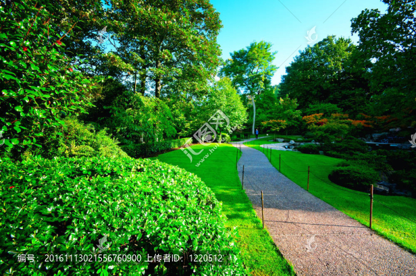 荷蘭公園；京都公園；倫敦。