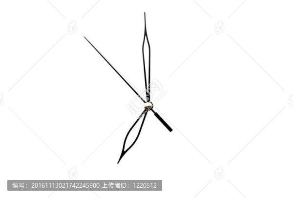 時(shí)間之箭