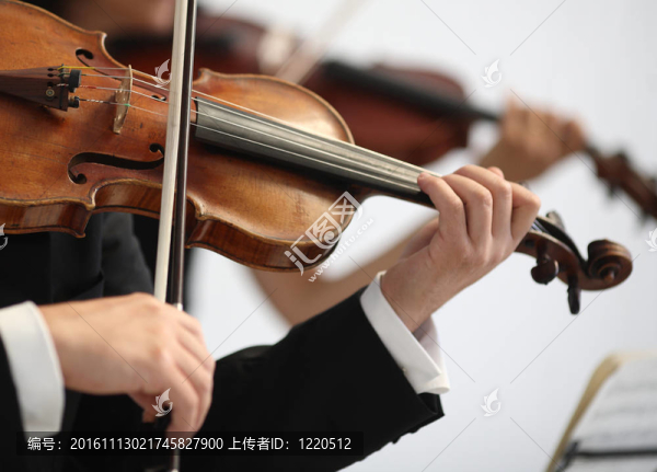 音樂(lè)家演奏交響曲的細(xì)節(jié)