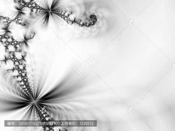 摘要花