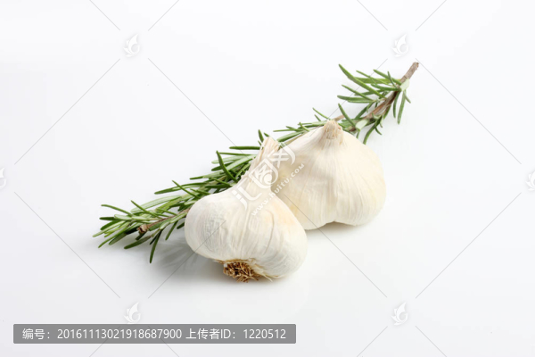 白色背景中的大蒜