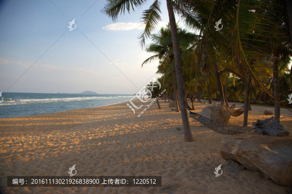 異國(guó)情調(diào)的海灘，日落時(shí)水平的棕櫚樹(shù)和吊床