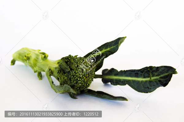 西蘭花
