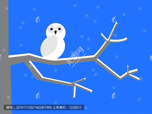 雪白的貓頭鷹