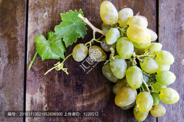 成熟的葡萄
