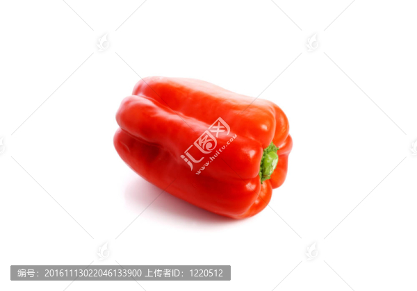 白鮮辣椒。