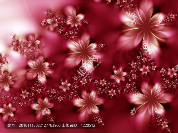 夢(mèng)幻般的花朵
