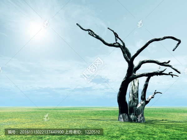 風(fēng)景與死樹