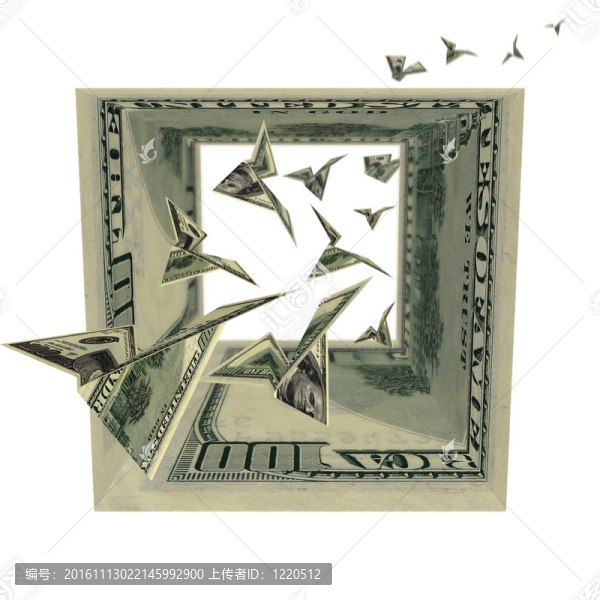 美元廣場上的鳥