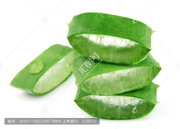 切蘆薈