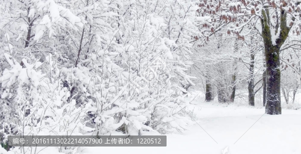 冬季景觀
