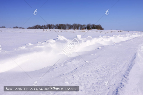 法國冬日的雪景