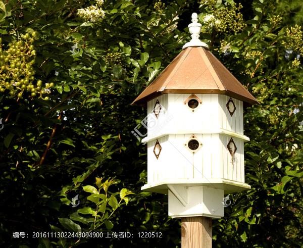 鳥巢特寫-匯圖網(wǎng) www.fosd68.com 鳥巢特寫