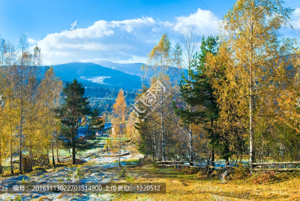 秋霜在山區(qū)林間空地