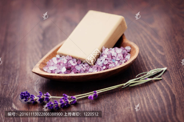 薰衣草的愛情
