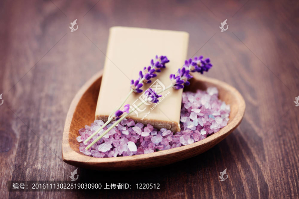 薰衣草的愛情