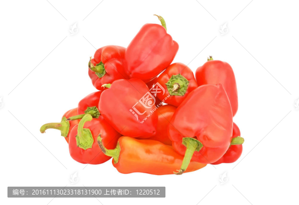 鮮紅色甜椒；白色背景上分離