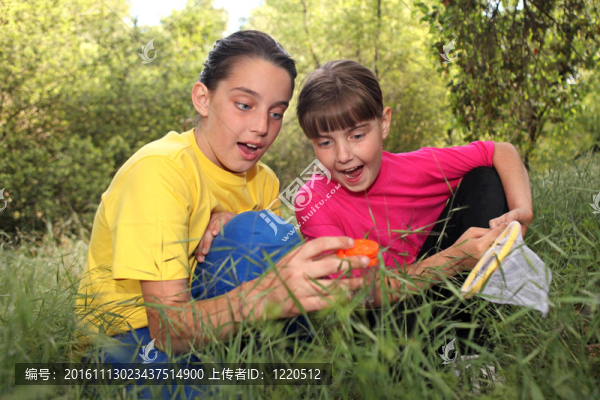 在樹林里打獵