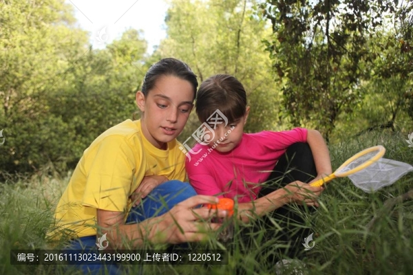 在樹林里打獵