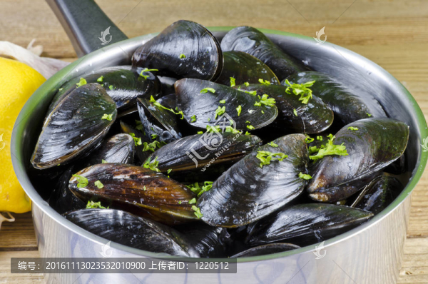 淡菜