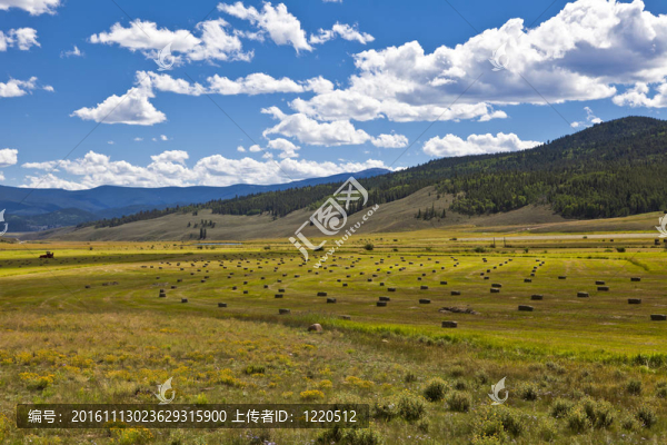 在一個(gè)牧場(chǎng)Hay,Bales