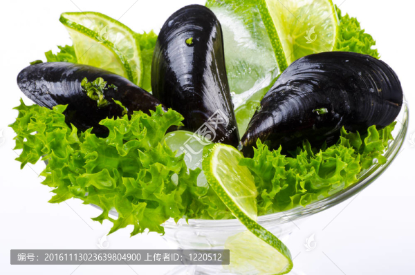 淡菜