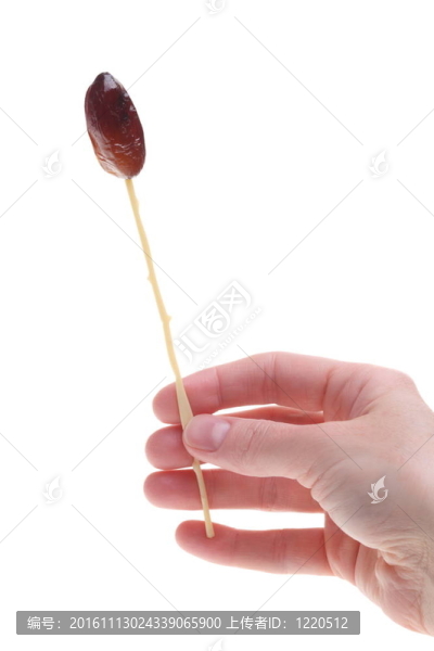 棕櫚分離的干棗果實(shí)