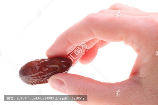 棕櫚分離的干棗果實(shí)
