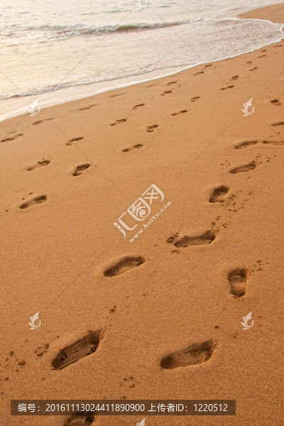 桑迪海灘-匯圖網(wǎng) www.fosd68.com 桑迪海灘