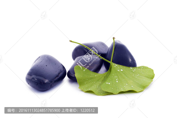 銀杏葉水碎石。